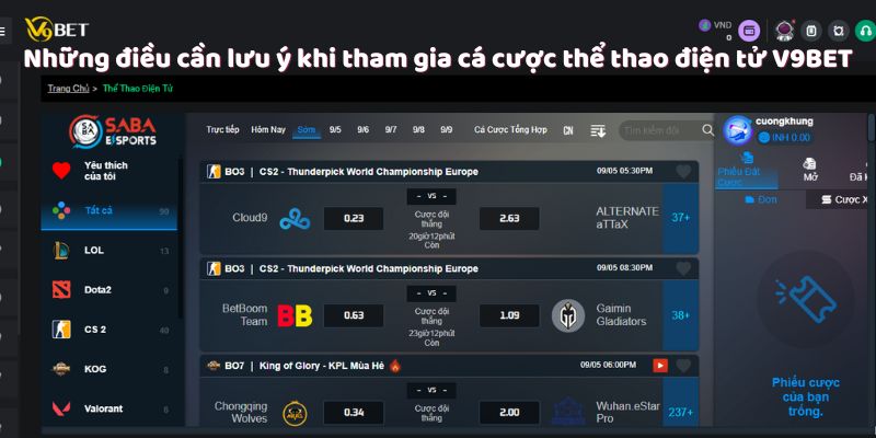 Những điều cần lưu ý khi tham gia cá cược thể thao điện tử V9Bet